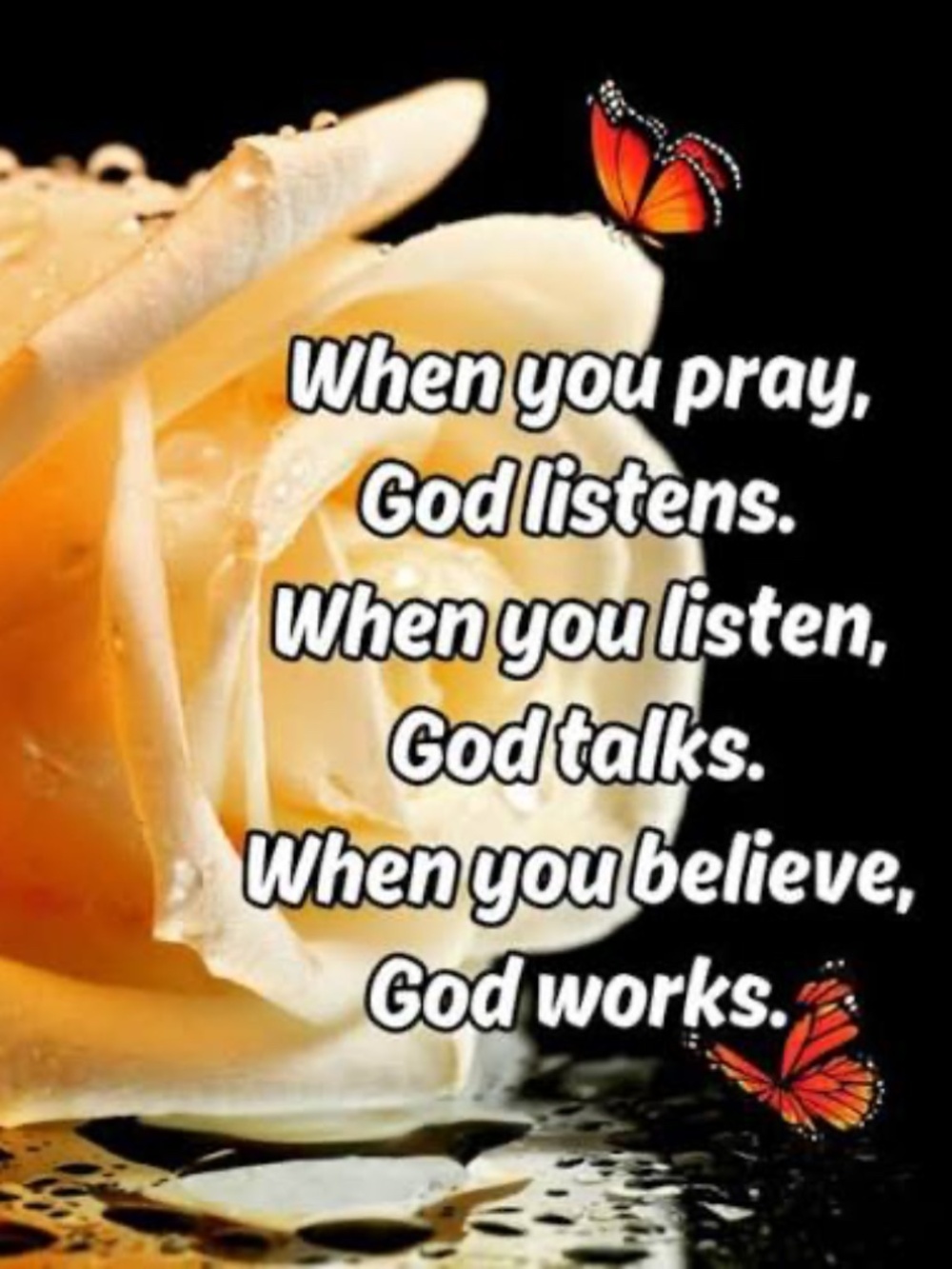 Meet your Posher, Tammy